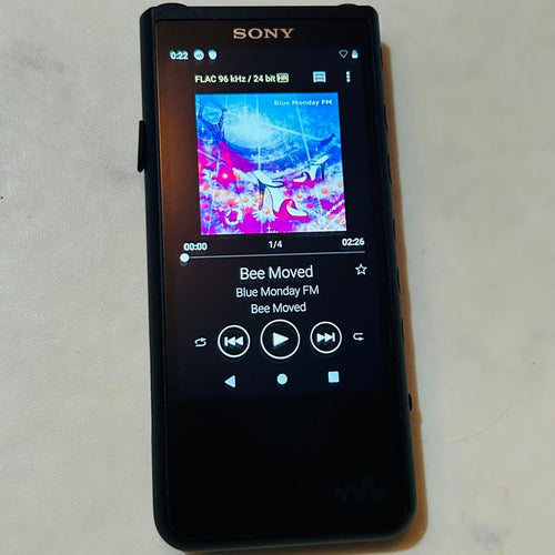 Sony Digital Audio Players Nw-Zx507
