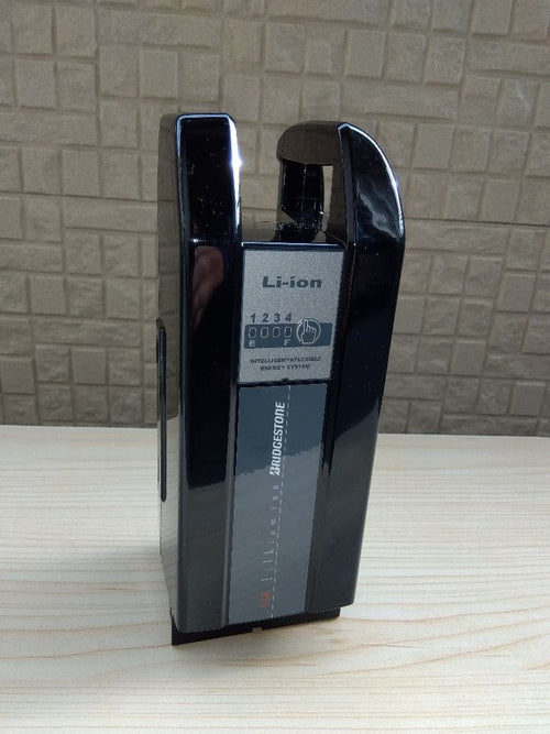 Yamaha Motor Battery Packs 4
