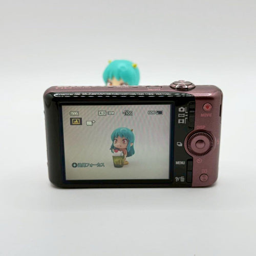 Sony Compact Digital Camera Dsc-Wx100 T