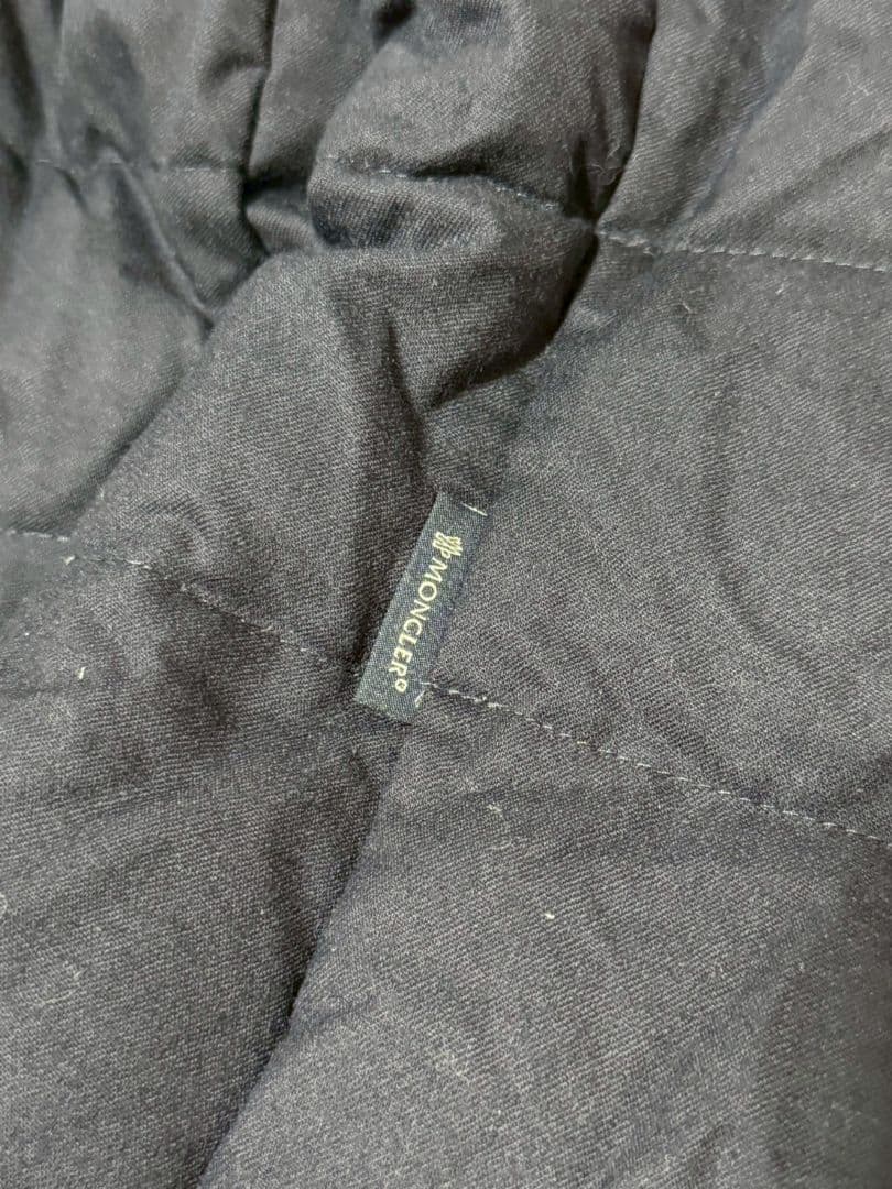 Moncler Down Jackets Rodin 5