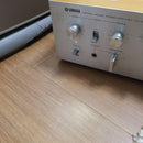 Yamaha Integrated Amplifiers Ca-600