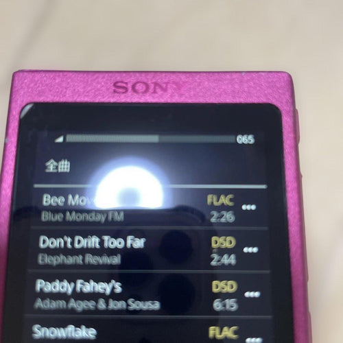 Sony Digital Audio Players Nw-A37 64Gb