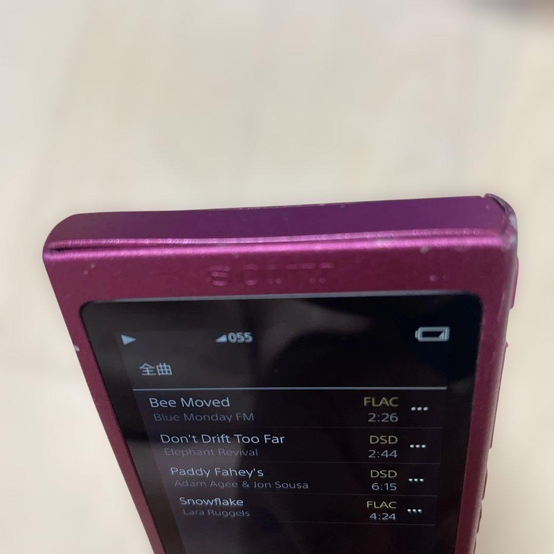 Sony Digital Audio Players Nw-A37 64Gb