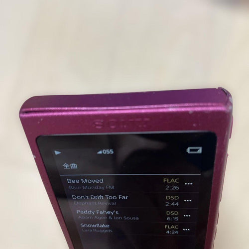 Sony Digital Audio Players Nw-A37 64Gb