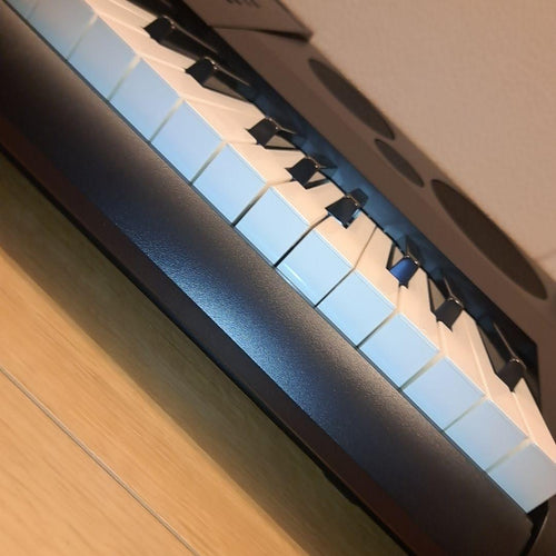 Casio Other Wk-6600 76