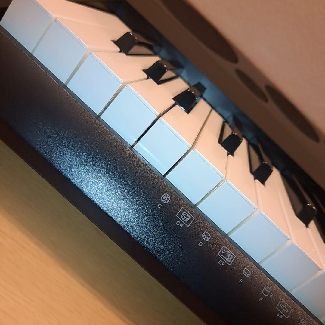 Casio Other Wk-6600 76