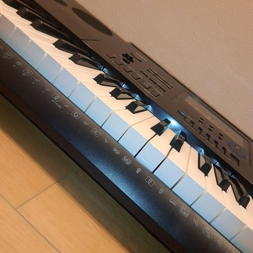 Casio Other Wk-6600 76