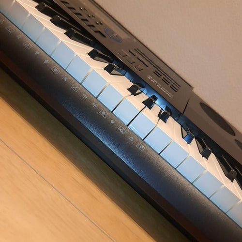 Casio Other Wk-6600 76