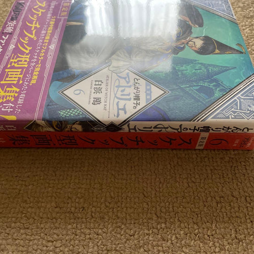 Seinen Manga 6 Bgs