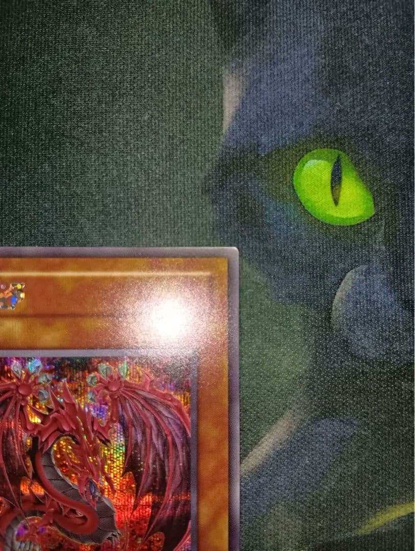 Yu-Gi-Oh! Ocg Duel Monsters (Japanese)