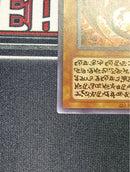 Yu-Gi-Oh! Ocg Duel Monsters (Japanese)