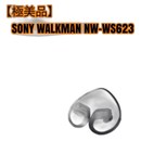 Sony Wireless Earphone Walkman Nw-Ws623