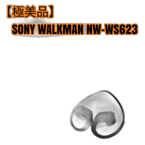 Sony Wireless Earphone Walkman Nw-Ws623