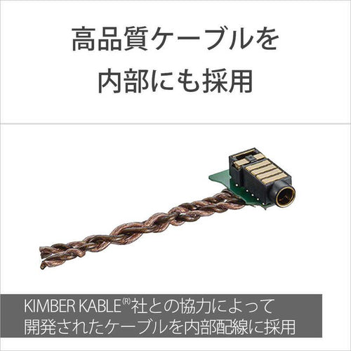 Sony Others Wm1 /256Gb] Nw-Wm1Zm2