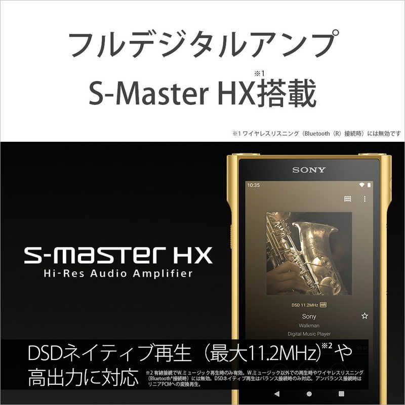 Sony Others Wm1 /256Gb] Nw-Wm1Zm2