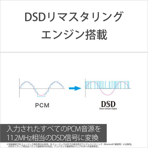 Sony Others Wm1 /256Gb] Nw-Wm1Zm2