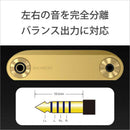 Sony Others Wm1 /256Gb] Nw-Wm1Zm2