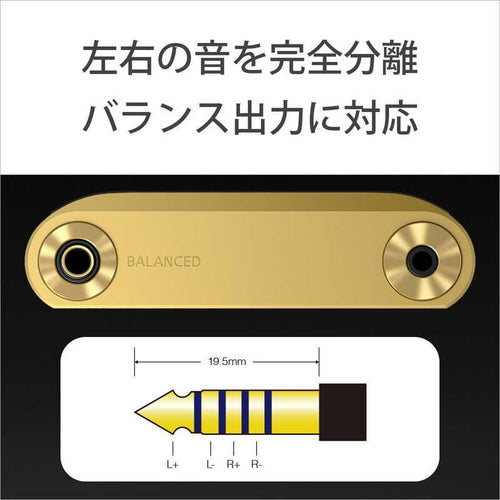 Sony Others Wm1 /256Gb] Nw-Wm1Zm2