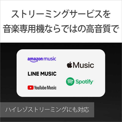 Sony Others Wm1 /256Gb] Nw-Wm1Zm2