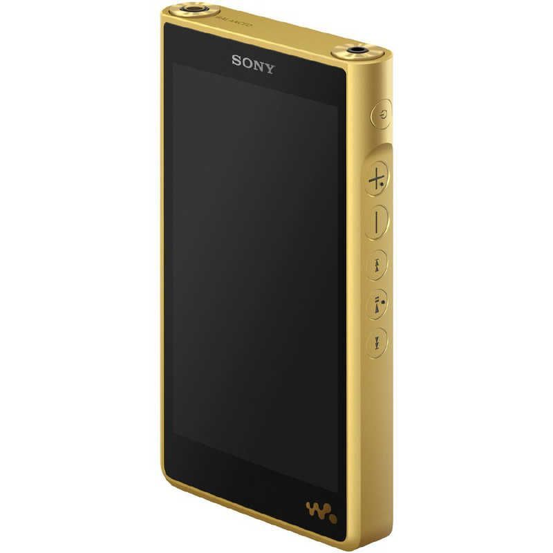 Sony Others Wm1 /256Gb] Nw-Wm1Zm2