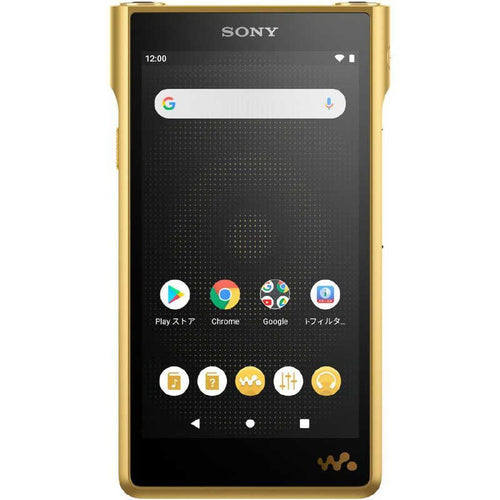 Sony Others Wm1 /256Gb] Nw-Wm1Zm2