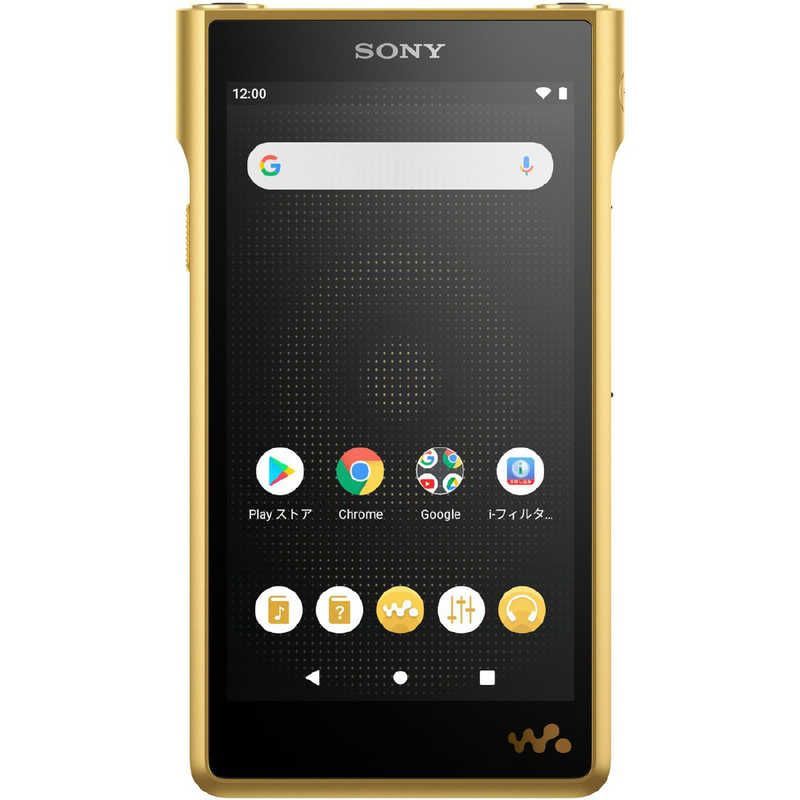 Sony Others Wm1 /256Gb] Nw-Wm1Zm2