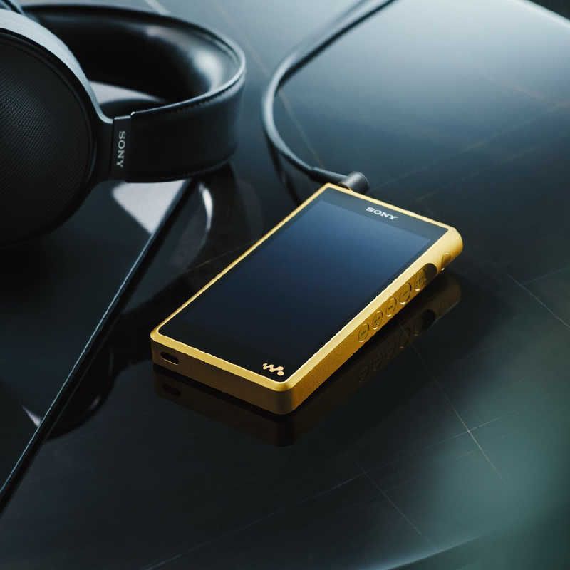 Sony Others Wm1 /256Gb] Nw-Wm1Zm2