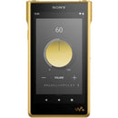 Sony Others Wm1 /256Gb] Nw-Wm1Zm2