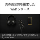 Sony Others Wm1 /256Gb] Nw-Wm1Zm2