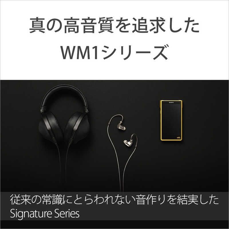 Sony Others Wm1 /256Gb] Nw-Wm1Zm2
