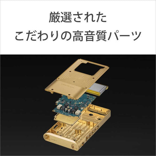Sony Others Wm1 /256Gb] Nw-Wm1Zm2