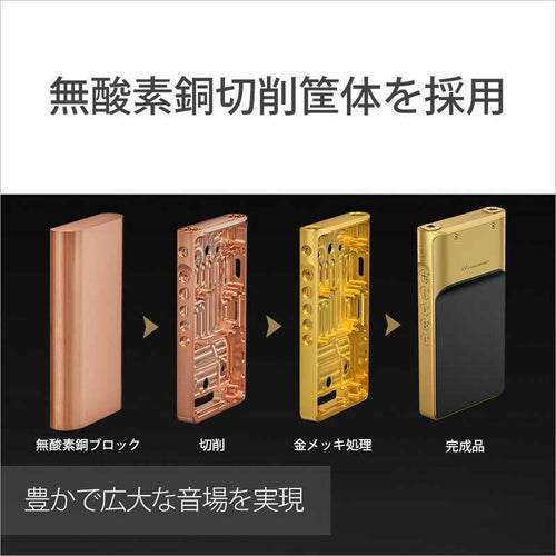 Sony Others Wm1 /256Gb] Nw-Wm1Zm2
