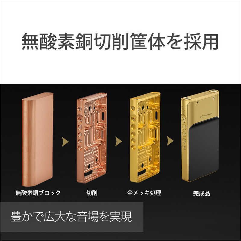 Sony Others Wm1 /256Gb] Nw-Wm1Zm2