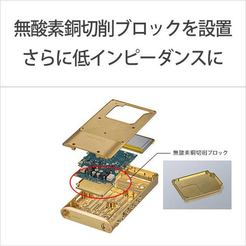 Sony Others Wm1 /256Gb] Nw-Wm1Zm2