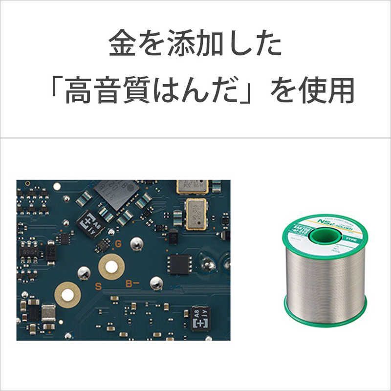 Sony Others Wm1 /256Gb] Nw-Wm1Zm2