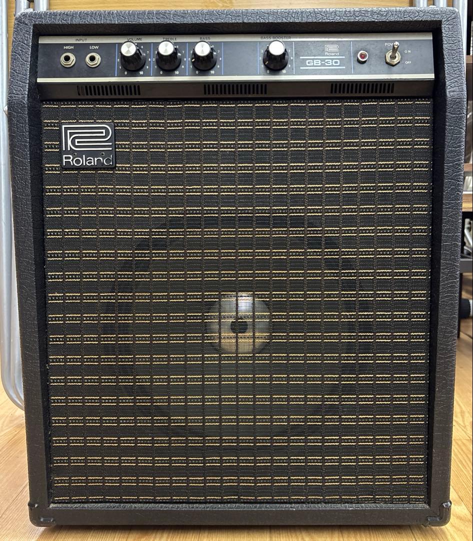 Roland Guitar Amplifiers Ga-30
