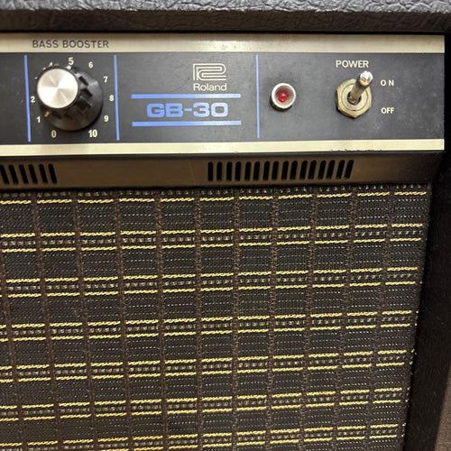 Roland Guitar Amplifiers Ga-30