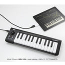 Midi Keyboard Pad Hy Korg Microkey?25 Usb 25 Dtm )]Hy004