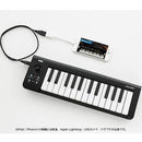 Midi Keyboard Pad Hy Korg Microkey?25 Usb 25 Dtm )]Hy004