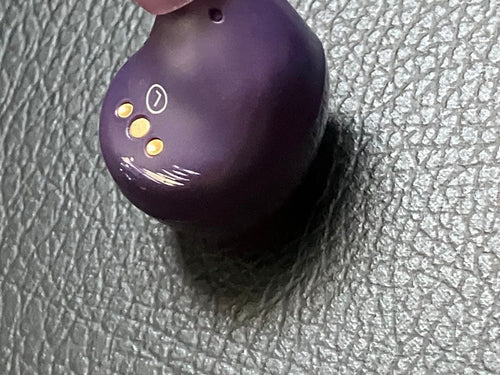 Aviot Wireless Earphones Te-D01V-Mgt(