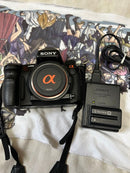 Sony Digital Slrs 900 5