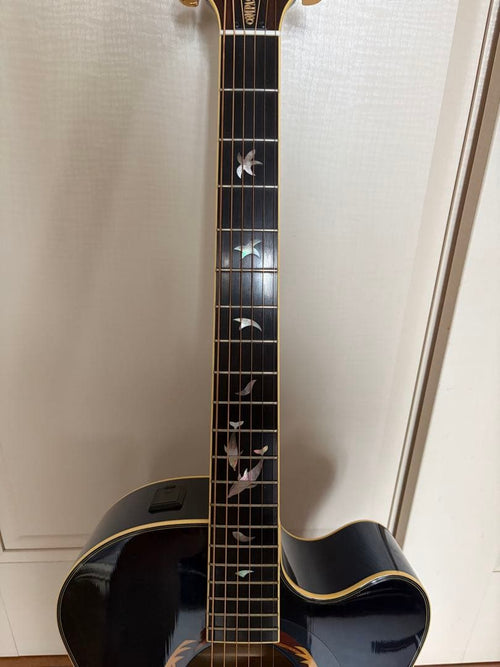 Yamaha Acoustic Guitars Cpx-15S South