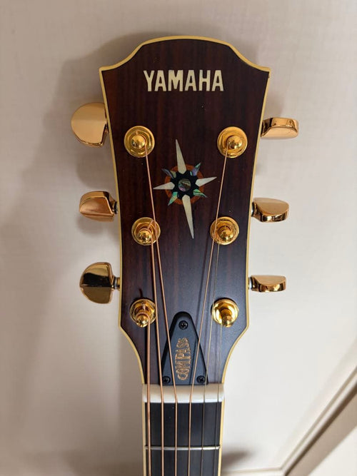 Yamaha Acoustic Guitars Cpx-15S South