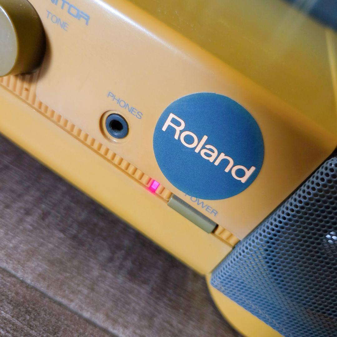 Roland Other Cs-10