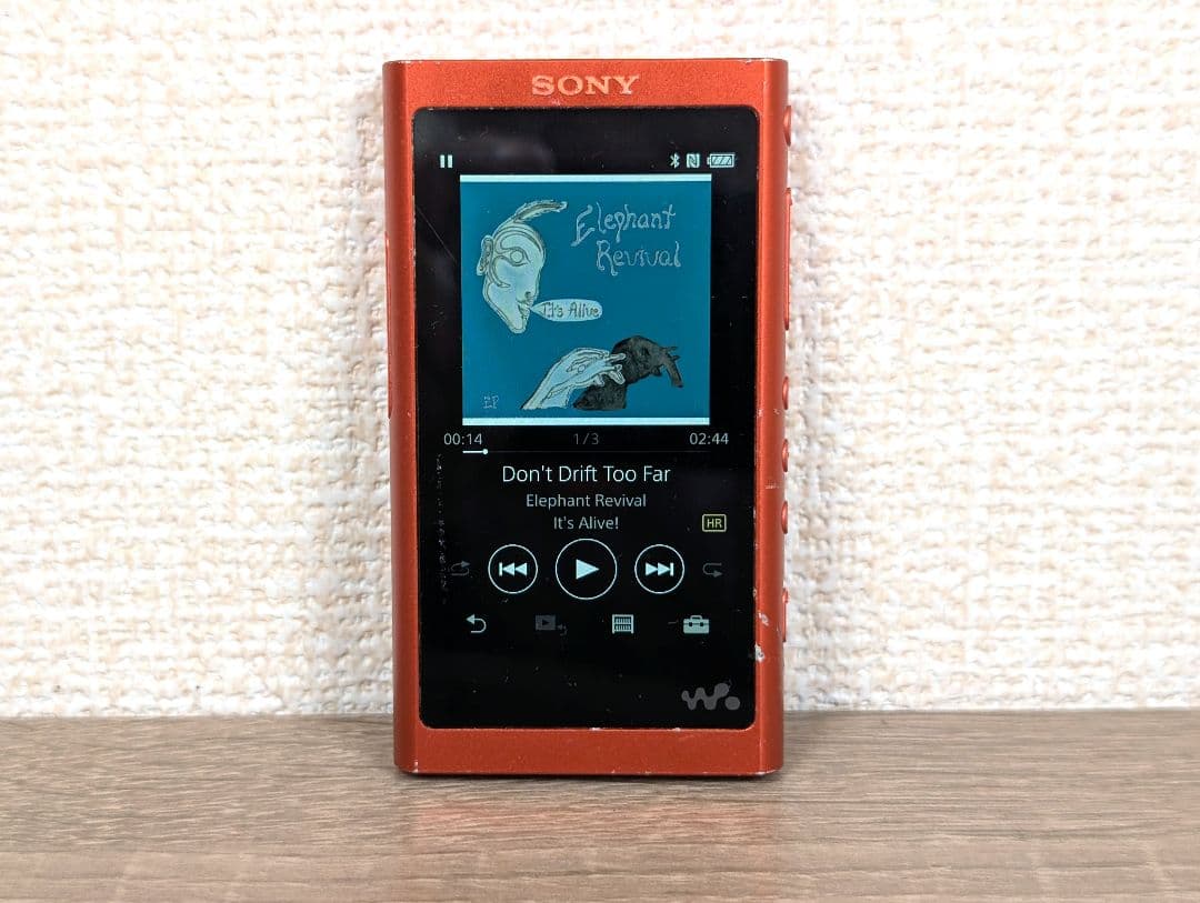 Sony Digital Audio Players Walkman Nw-A55