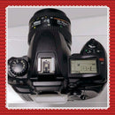Digital Slrs Nikon D100