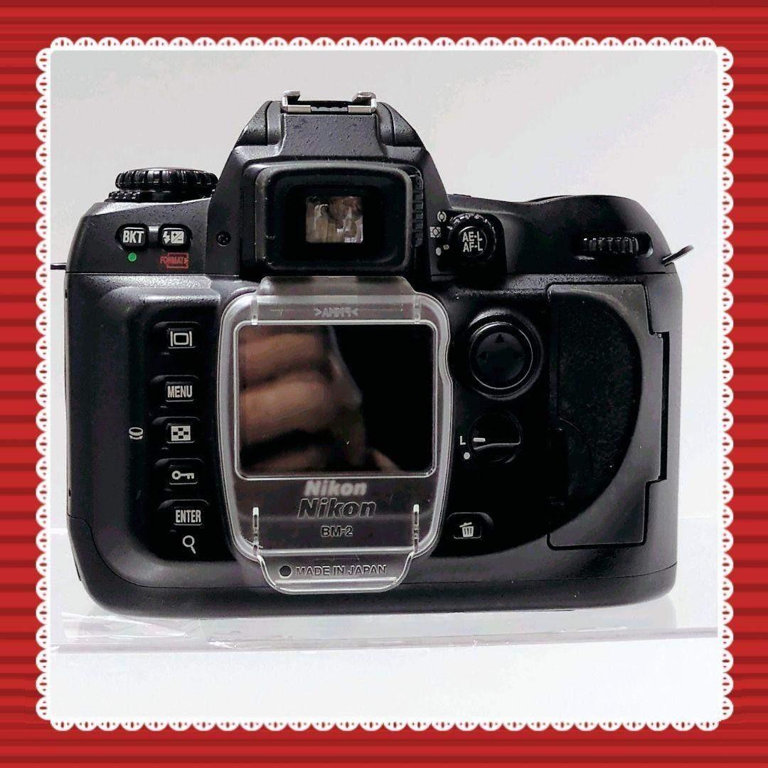 Digital Slrs Nikon D100
