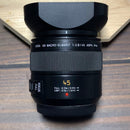 Panasonic Prime Lenses Leica Dg Macro-Elmarit F2.8