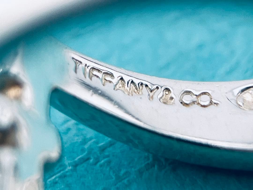 Tiffany Earrings (Pairs) D177 925