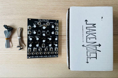 Modular Synthesizers Make Noise Polimaths
